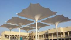 Tariq Automated Retractable Umbrellas-1